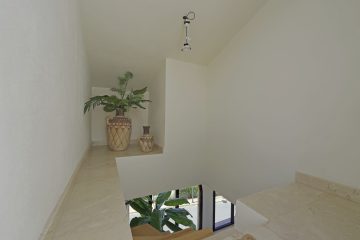 DSC023607